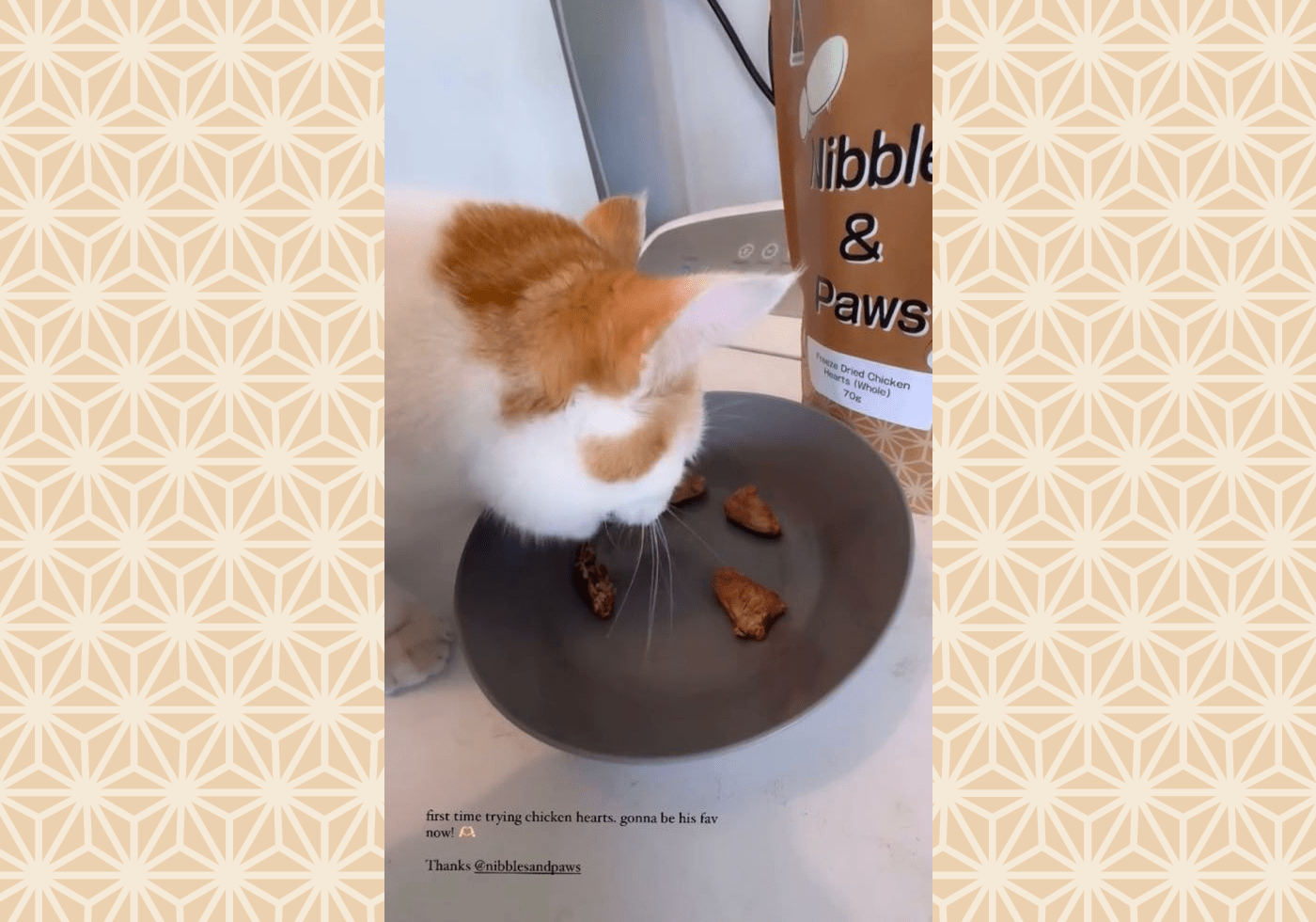 Freeze Dried Chicken Hearts 70g 🐔💖