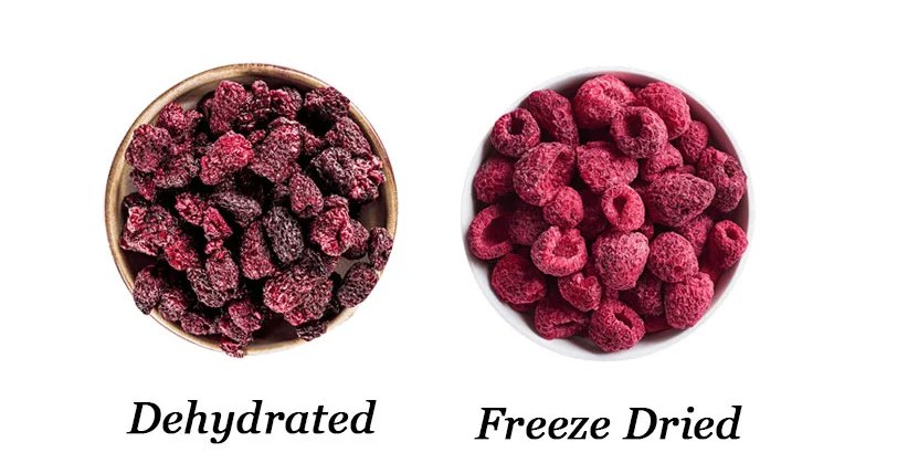 Freeze Dried or Dehydrated treats for pets ?