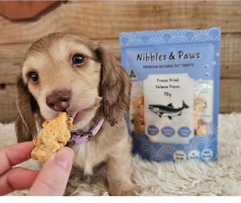 Are Freeze Dried Treats Good for Dogs? (Everything You Need to Know)