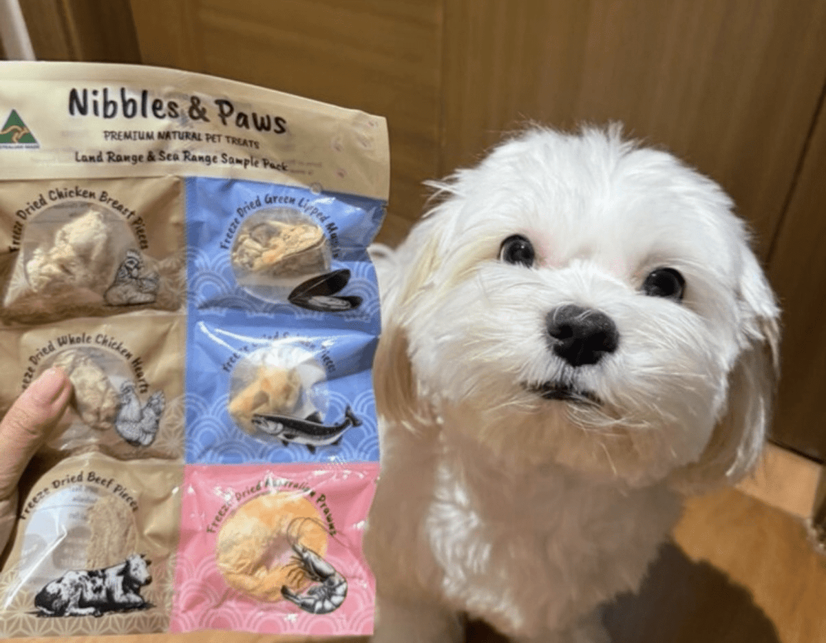 Are Freeze Dried Treats Good for Dogs? (Everything You Need to Know)
