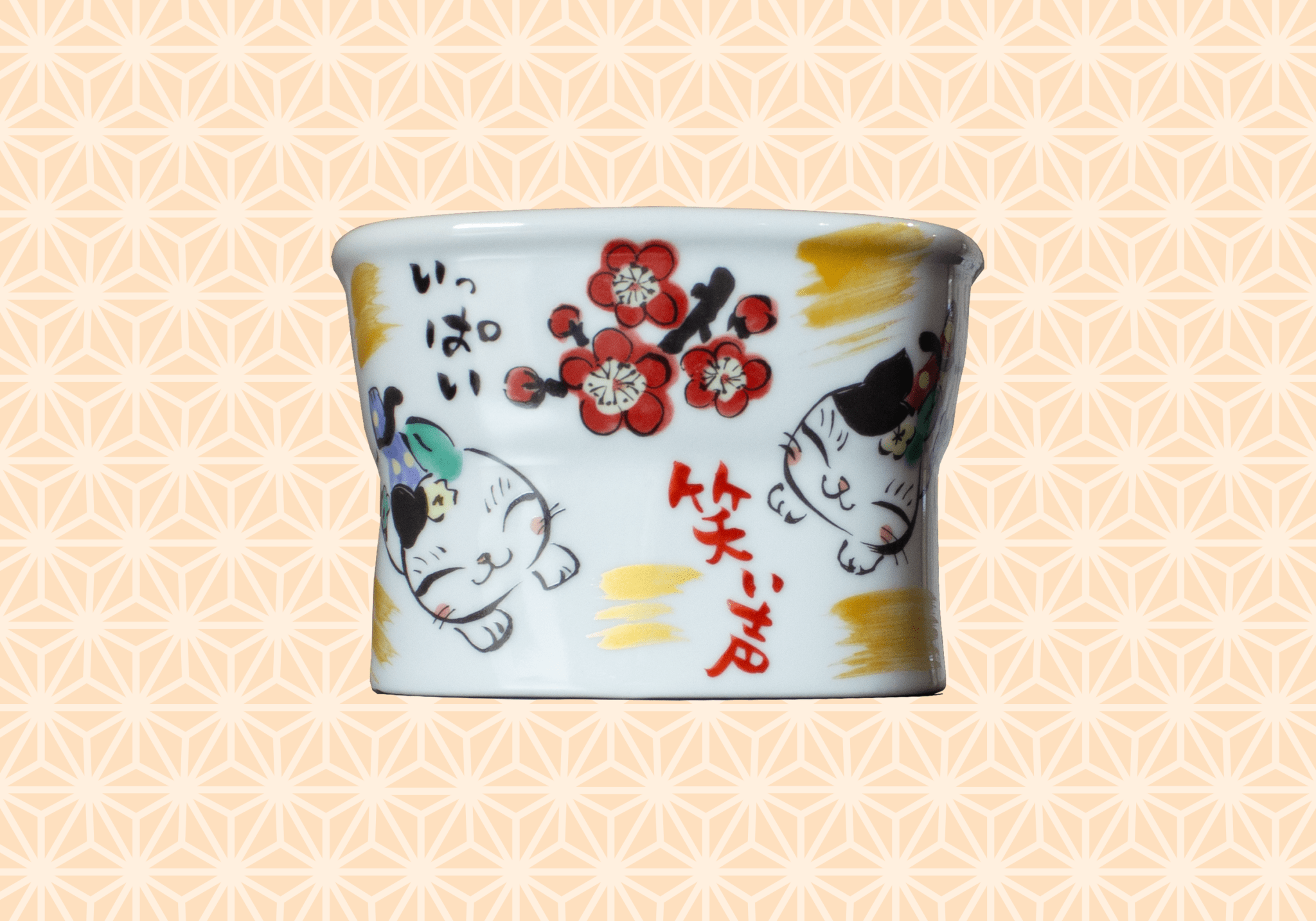 Handmade Japanese Ceramic Slow Feeder Bowl for Cats & Dogs | Artisan Pet Dining