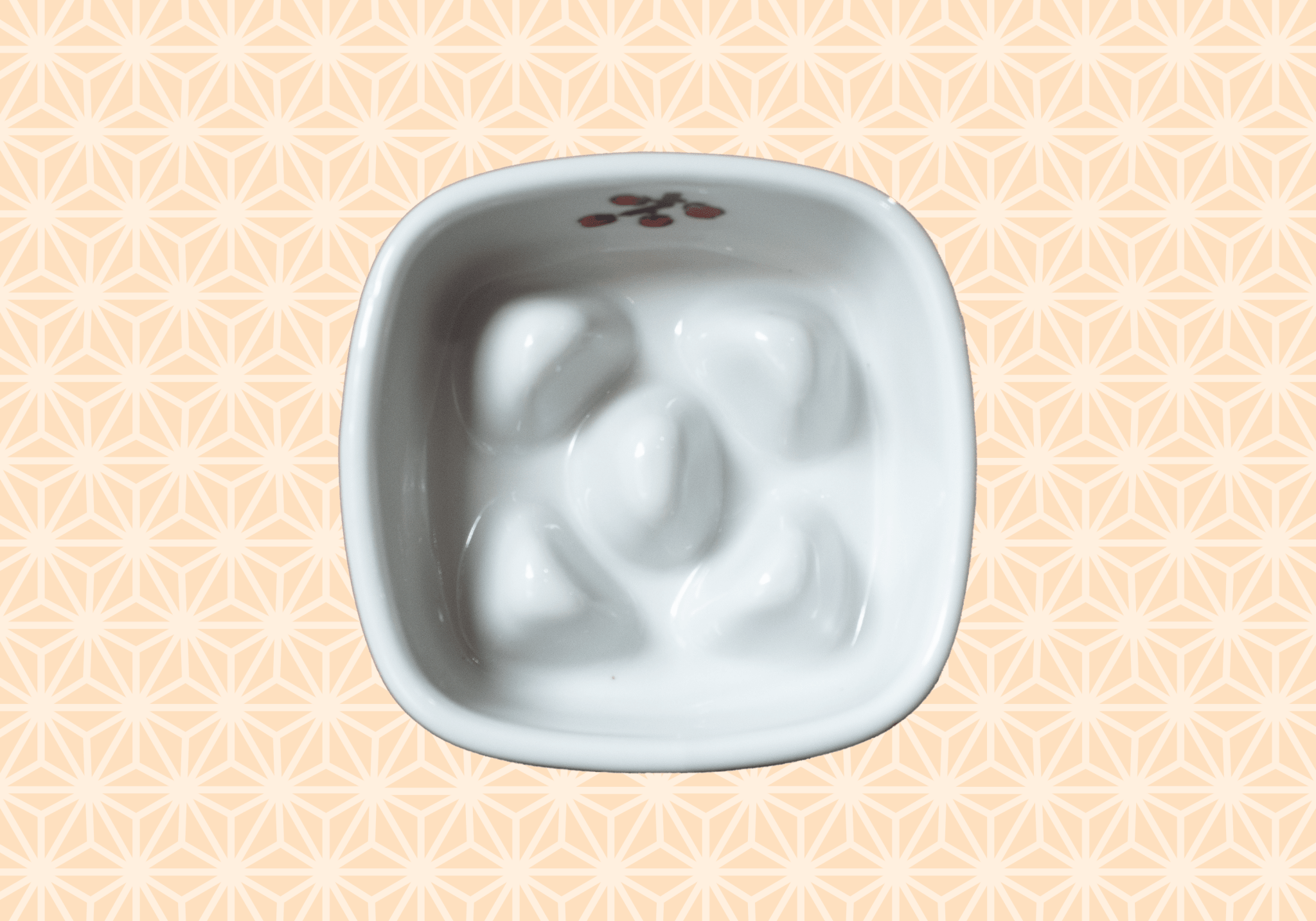 Handmade Japanese Ceramic Slow Feeder Bowl for Cats & Dogs | Artisan Pet Dining